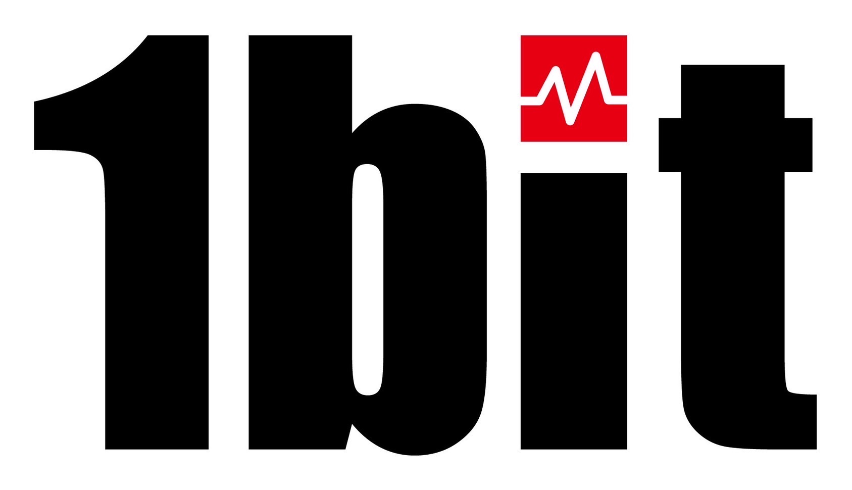 1Bit